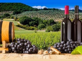 Как вывести вина Краснодарского края на мировой уровень